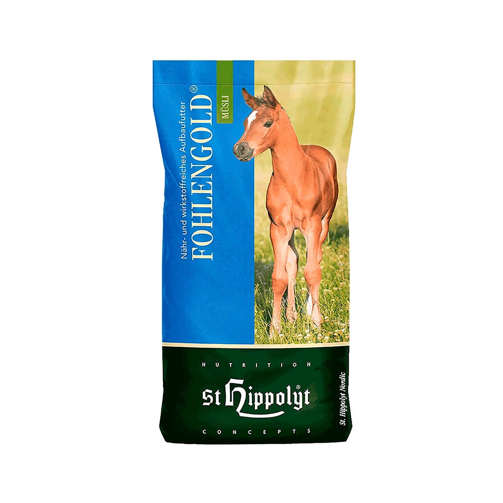 St Hippolyt Fohlengold varsarehu